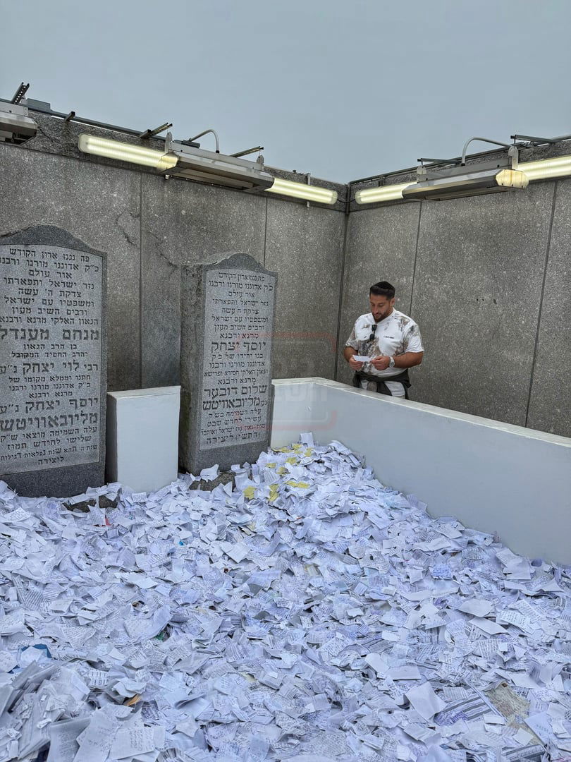 זופניק בכיכר | כל התמונות, הנייעס והחשיפות של המלחמה שאסור לכם לפספס