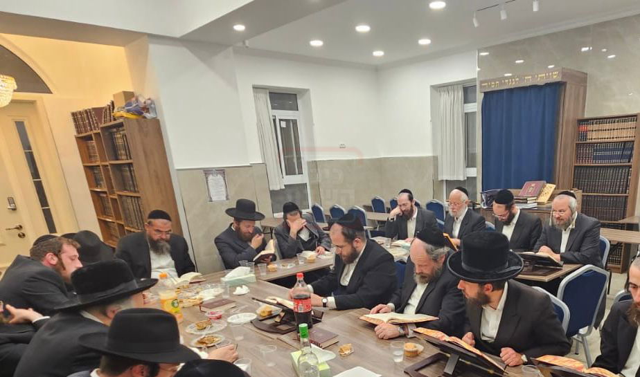 זופניק בכיכר | כל התמונות, הנייעס והחשיפות של המלחמה שאסור לכם לפספס