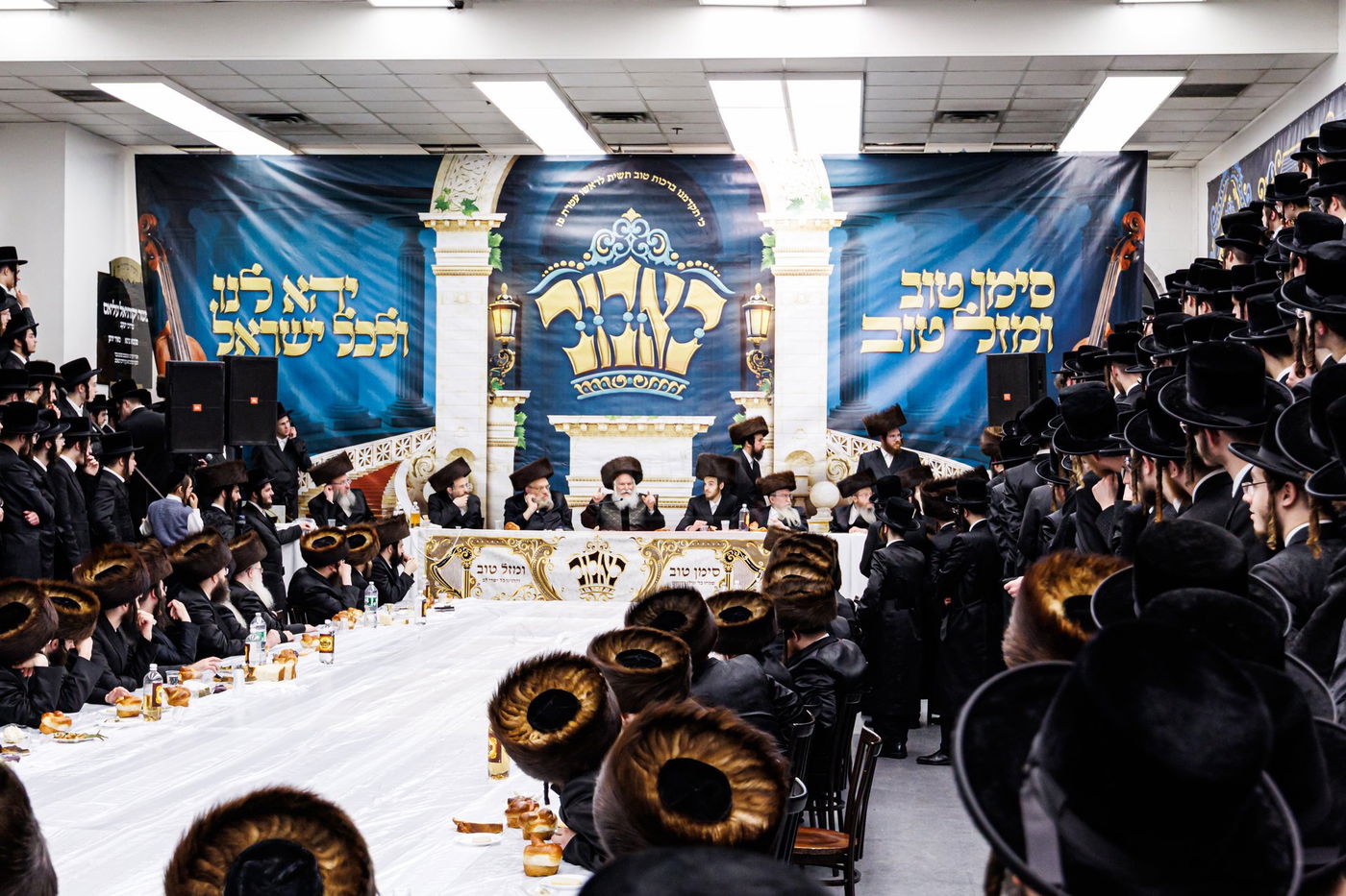 שמחת שבע ברכות לנכדת האדמו"ר מבאבוב