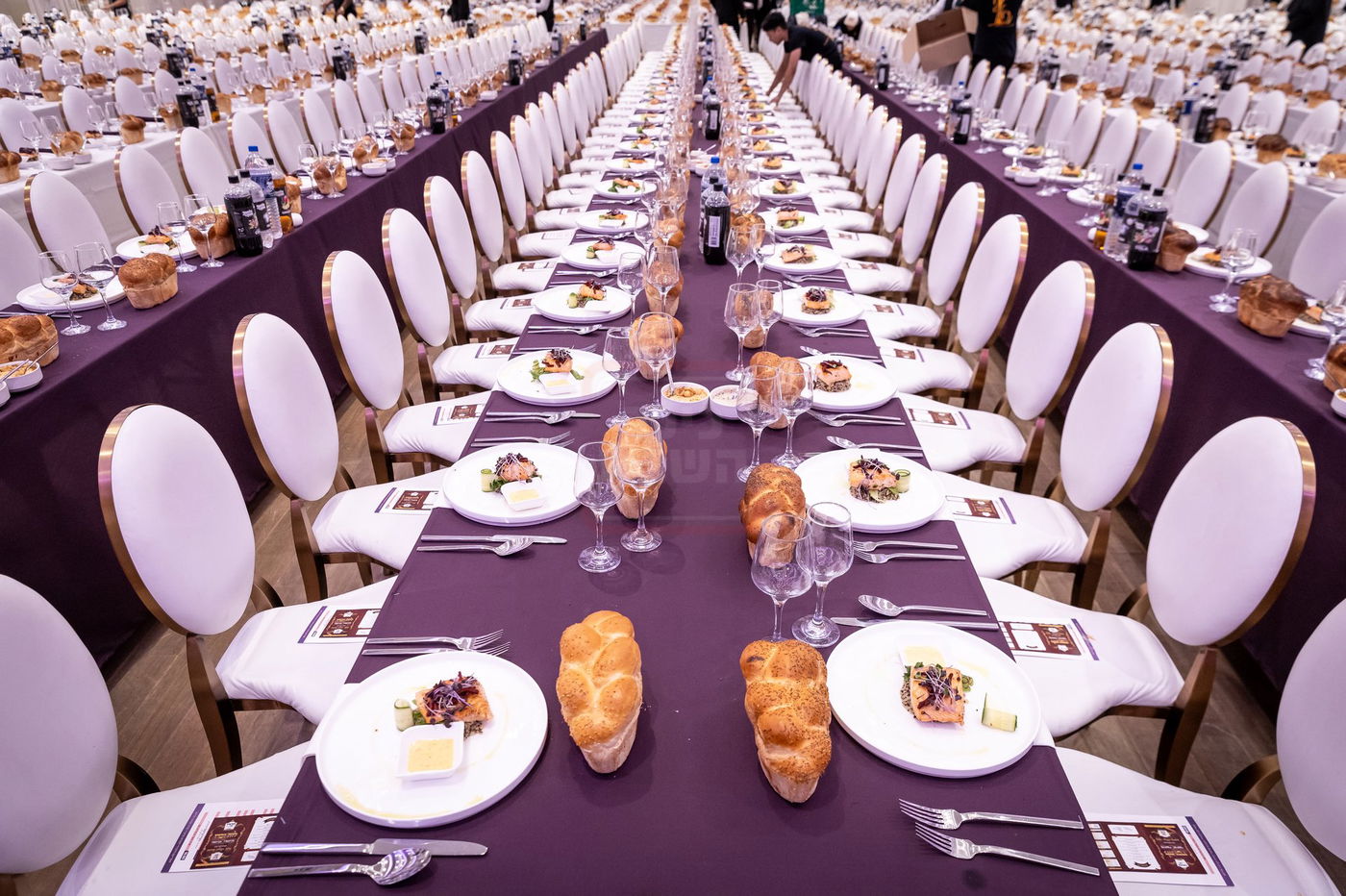 סיום מסכת בכורות בחצה"ק סאטמר