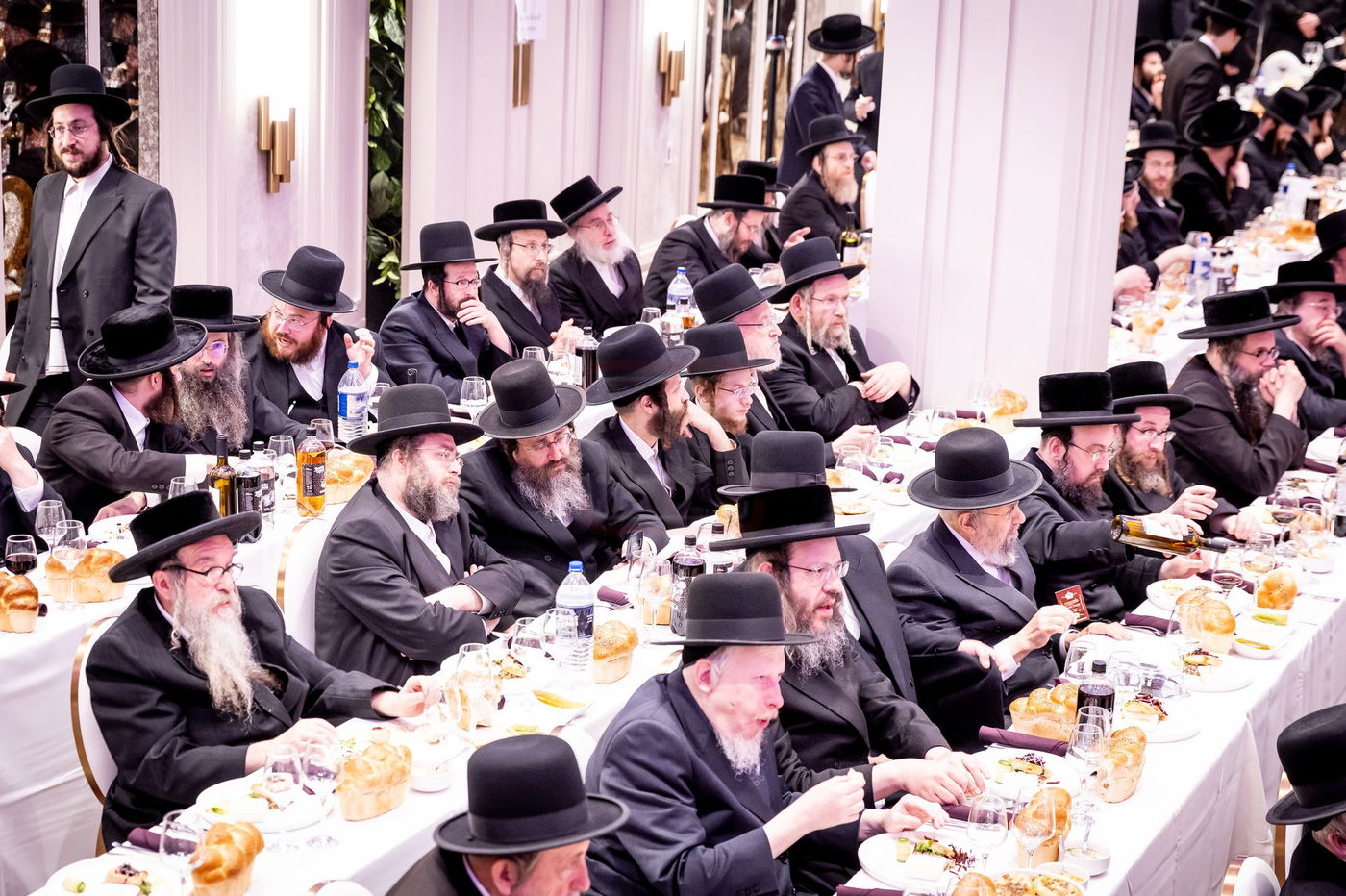 סיום מסכת בכורות בחצה"ק סאטמר