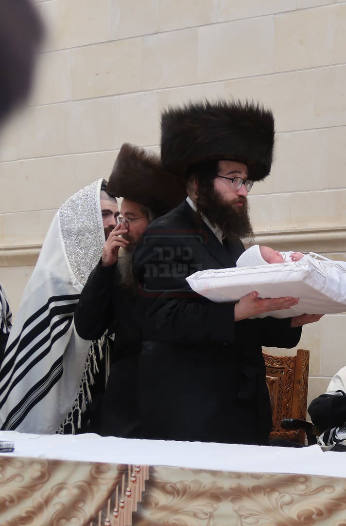 שמחת בית ויז'ניץ - פרמישלאן