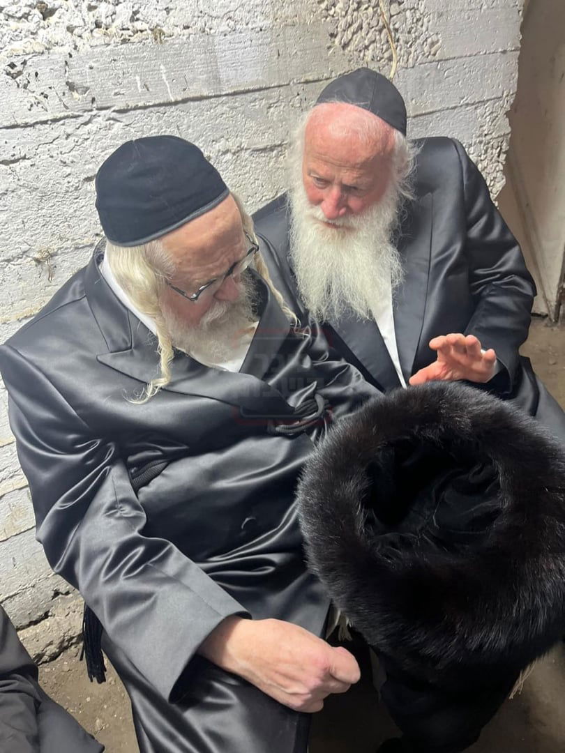 זופניק בכיכר | כל התמונות, הנייעס והחשיפות של השבוע שלא תרצו לפספס