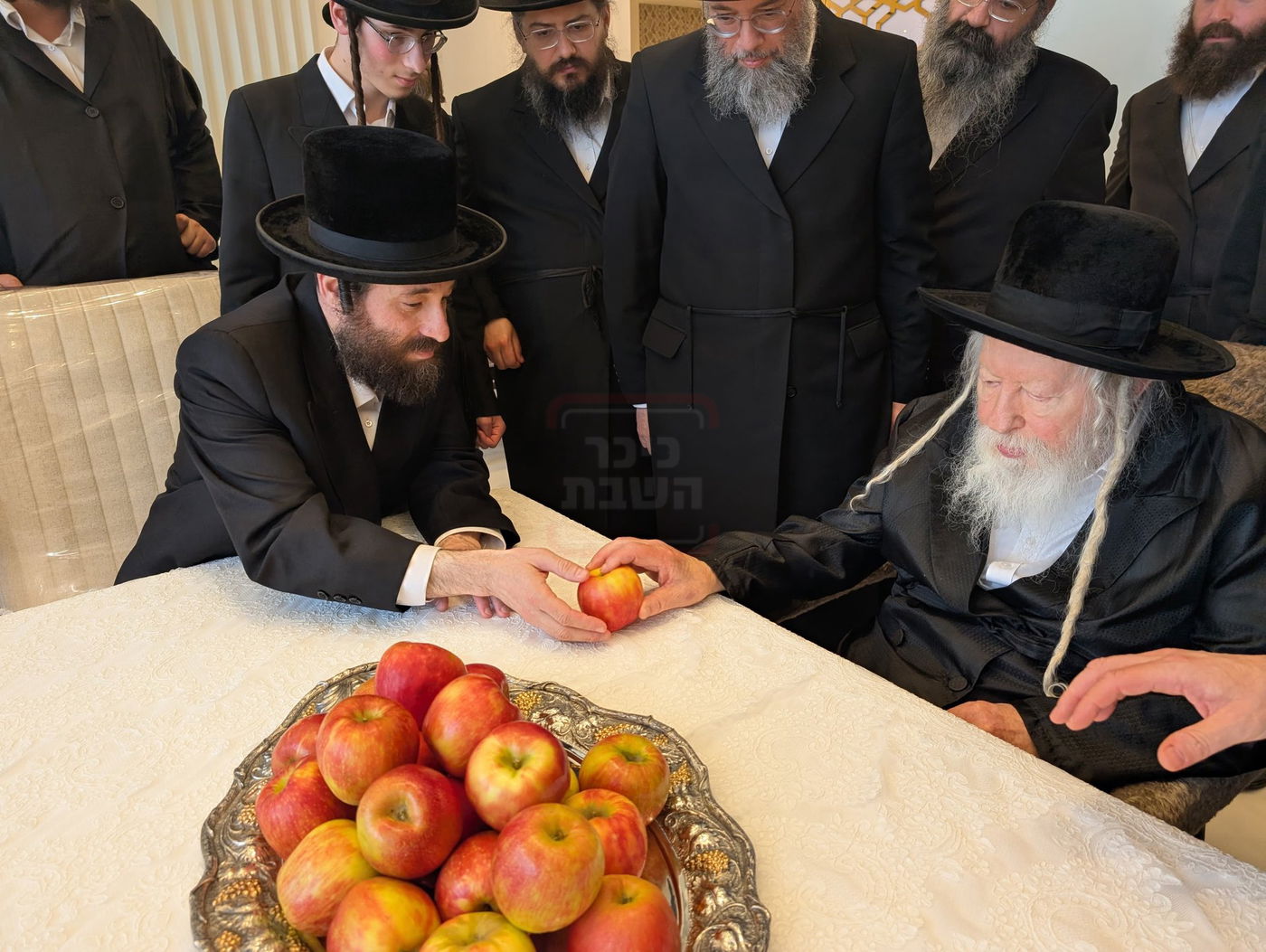 זופניק בכיכר | כל התמונות, הנייעס והחשיפות של השבוע שלא תרצו לפספס