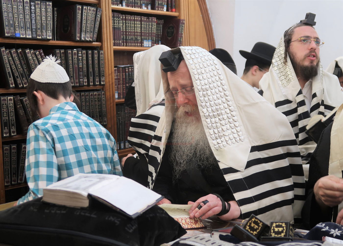 האדמו"ר מקרעטשניף קריית גת בתפילת שחרית במירון