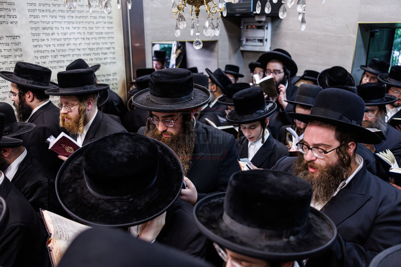 האדמו"ר מטאהש במסע הקודש להונגריה