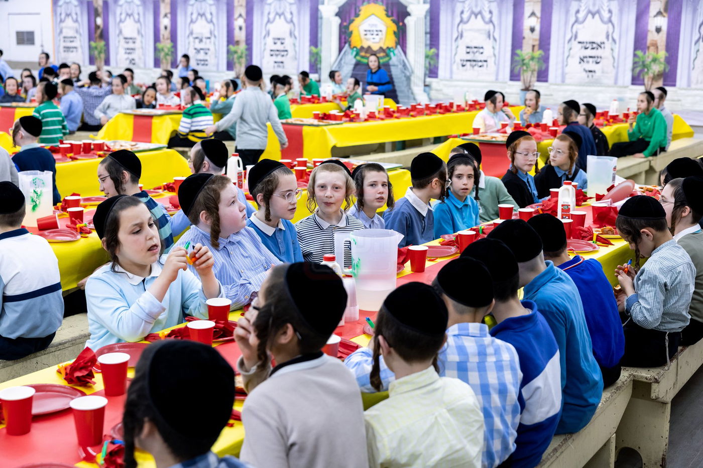 שבוע הראשון בקאנטרי בארה"ב 