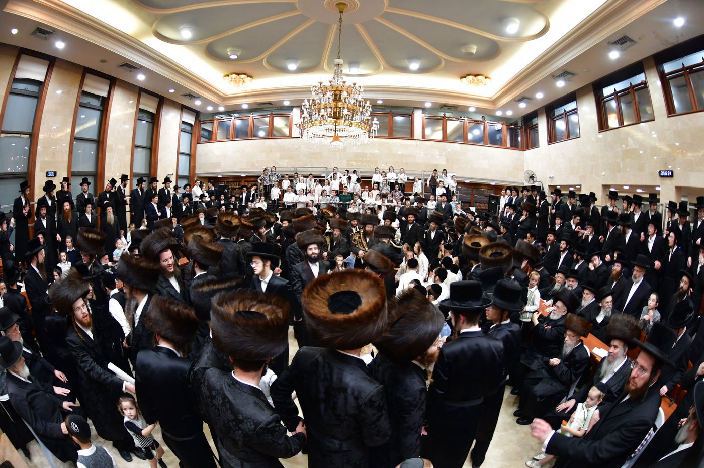 הכנסת ס"ת לביהמ"ד 'שבט הלוי'