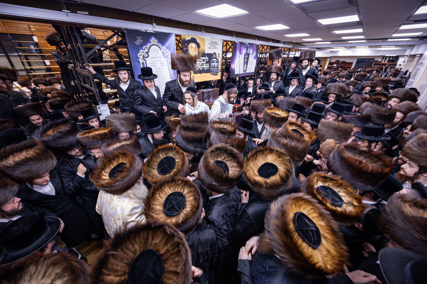 הילולא קדישא בצאנז קלויזנבורג