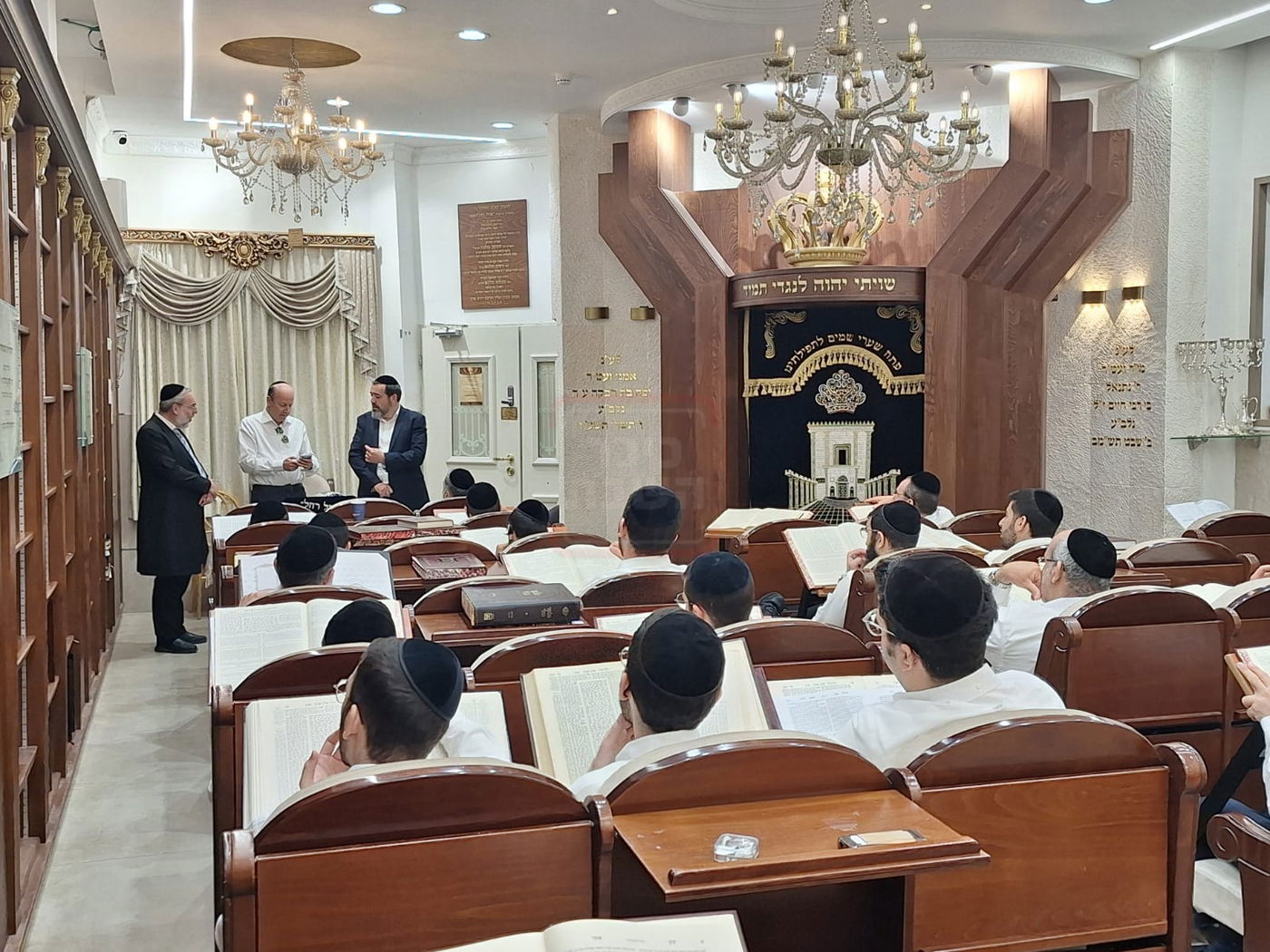 זופניק בכיכר | כל התמונות, הנייעס והחשיפות של השבוע שלא תרצו לפספס