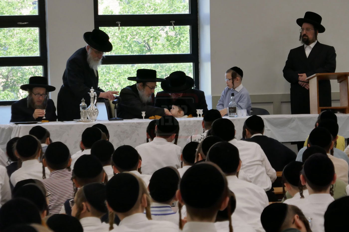 שמחת החלאקה לנין האדמו"ר מפאפא