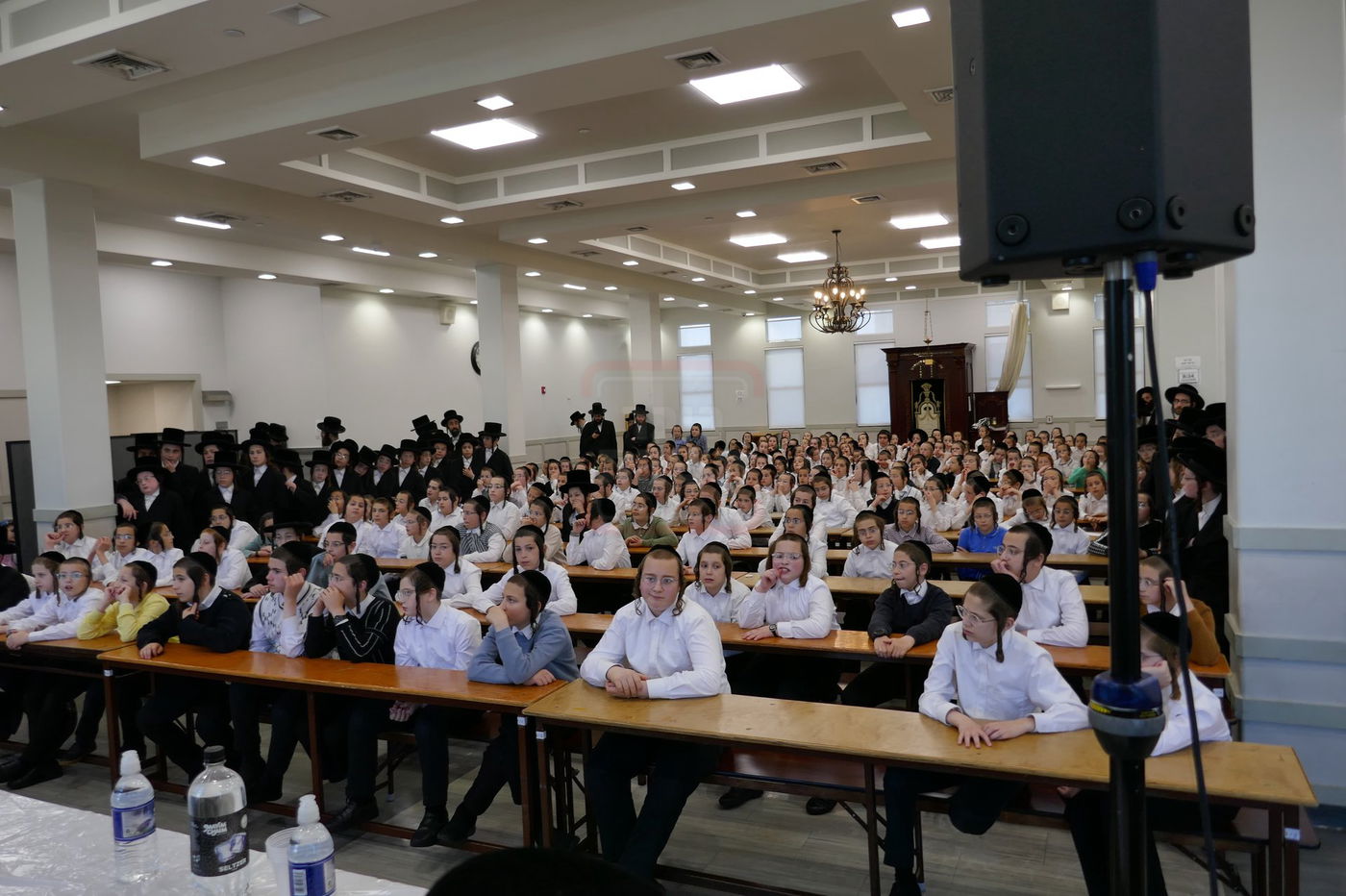 שמחת החלאקה לנין האדמו"ר מפאפא