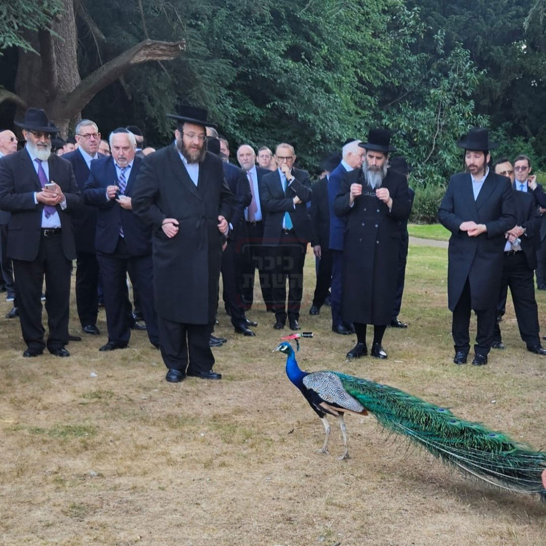זופניק בכיכר | כל התמונות, הנייעס והחשיפות של השבוע שלא תרצו לפספס
