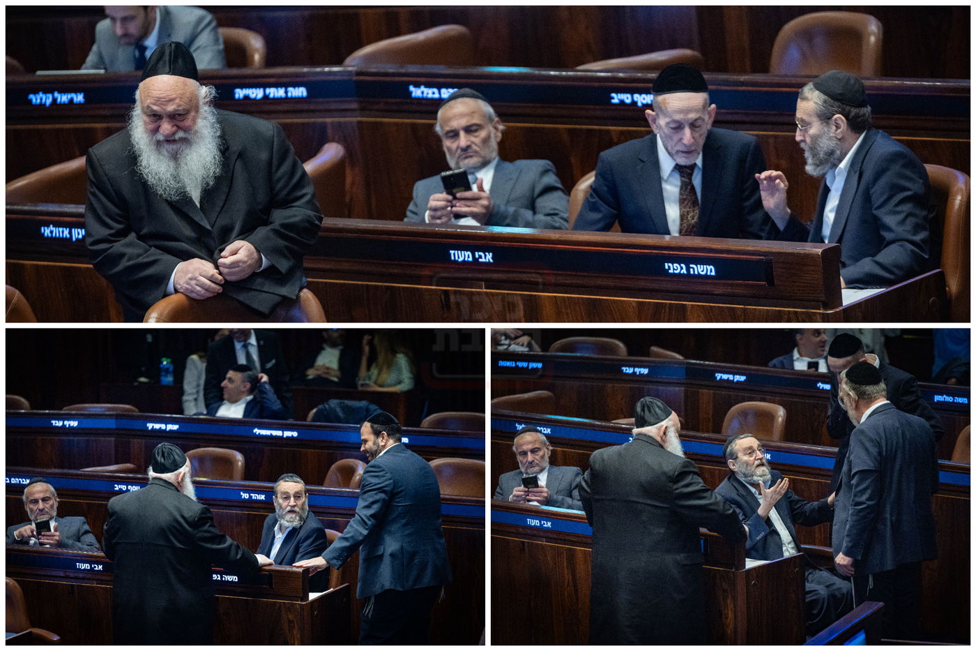 זופניק בכיכר | כל התמונות, הנייעס והחשיפות של השבוע שלא תרצו לפספס