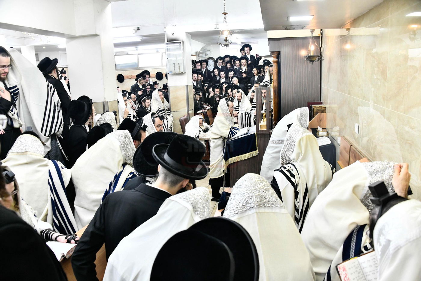 האדמו"ר מתולדות אברהם יצחק בתפילת שחרית במחנובקא בעלזא