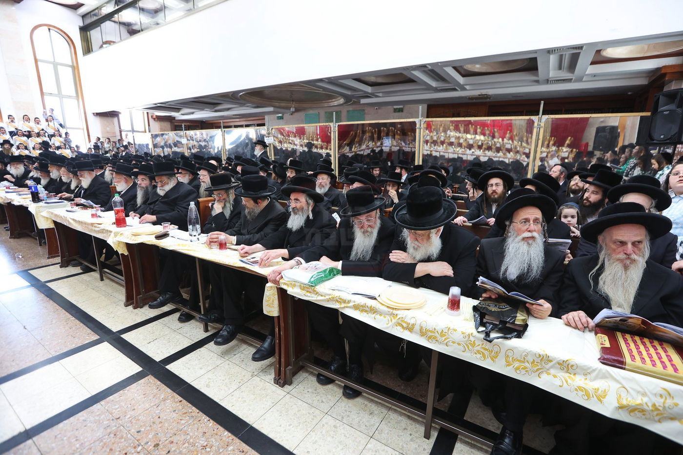 מסיבת חומש בת"ת ויז'ניץ בבית שמש 