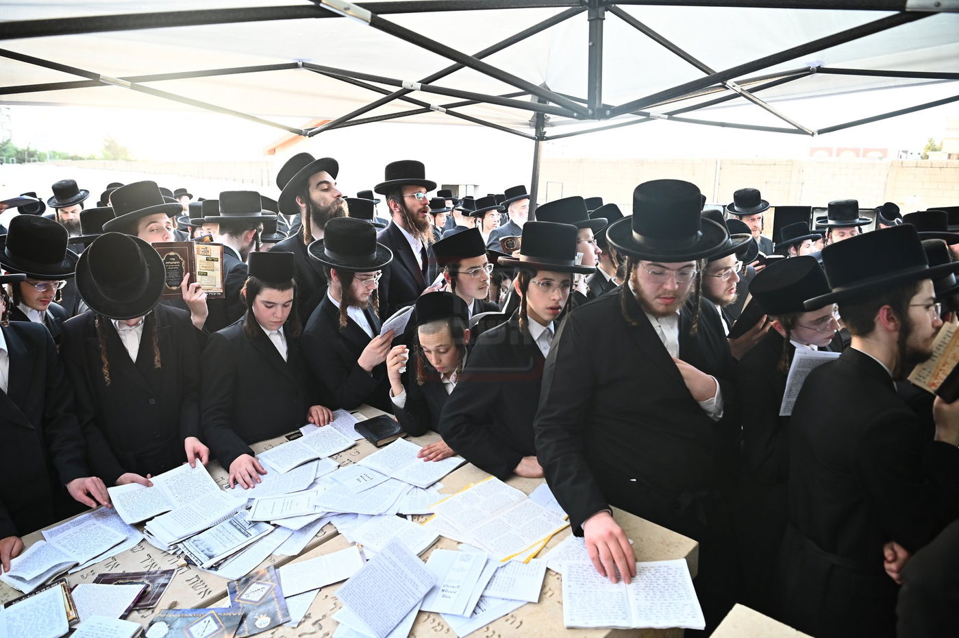 האדמו"ר מסערט ויז'ניץ בתפילה באוהל בית ויז'ניץ בבני ברק