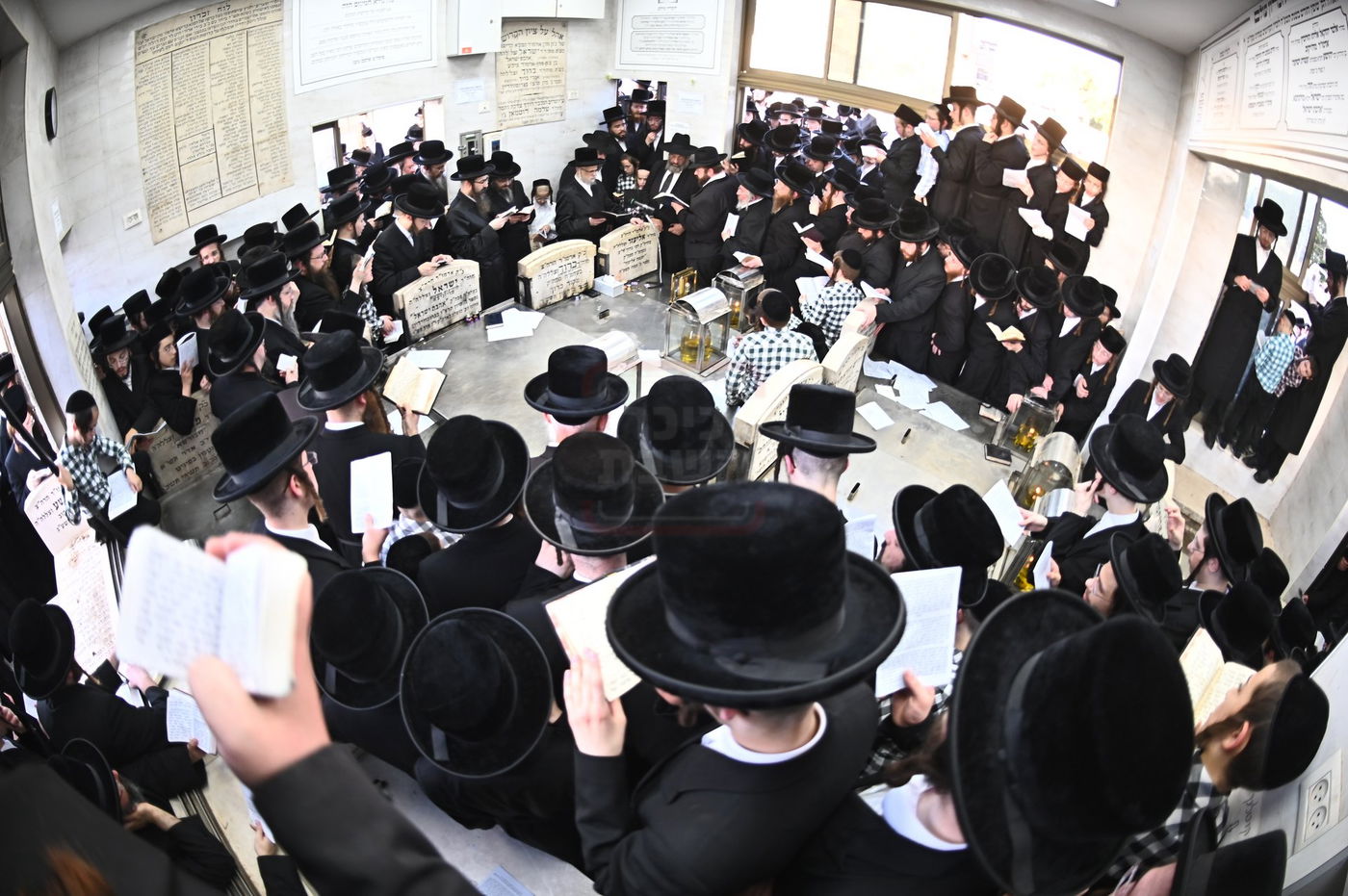 האדמו"ר מסערט ויז'ניץ בתפילה באוהל בית ויז'ניץ בבני ברק