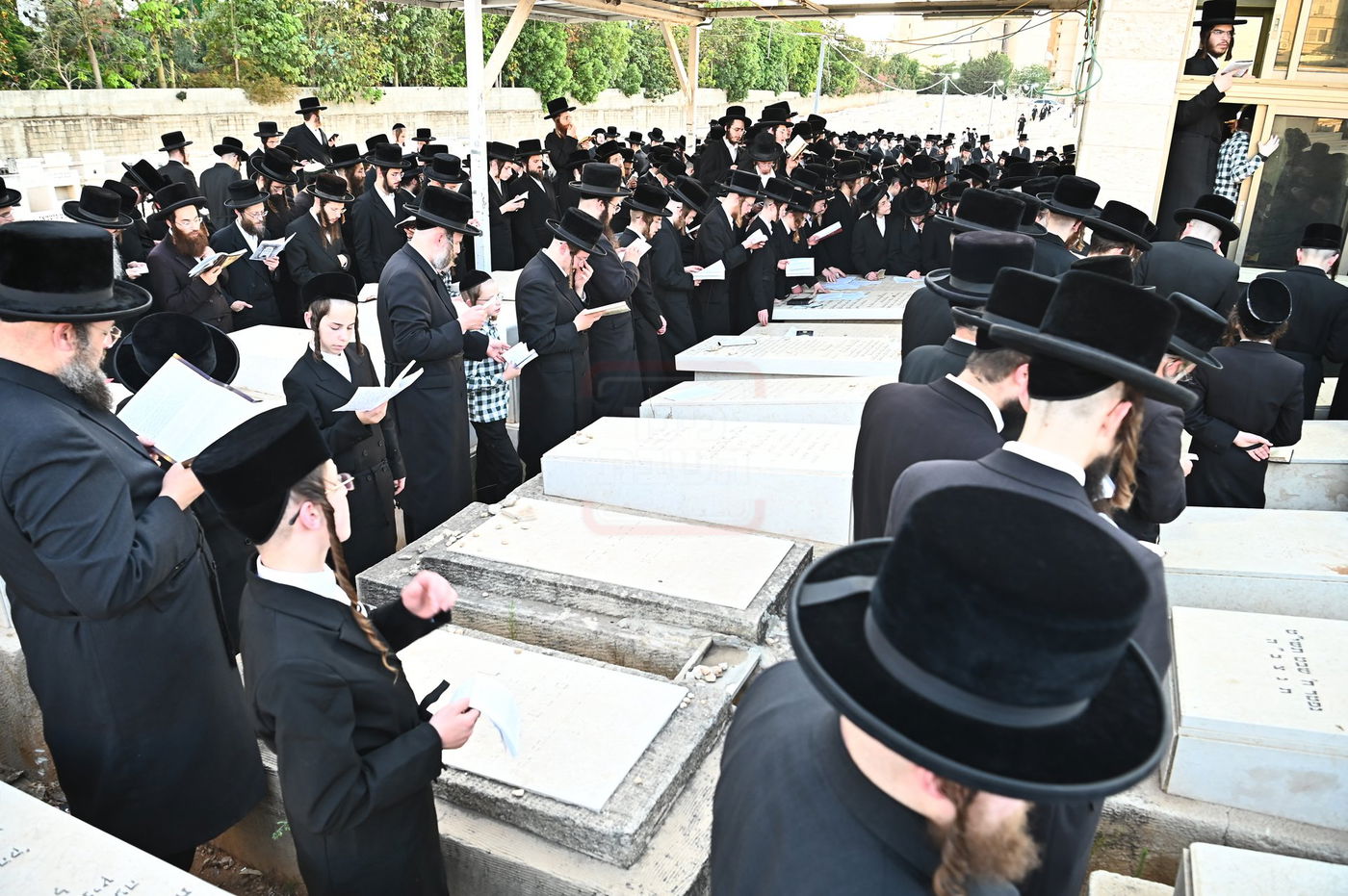 האדמו"ר מסערט ויז'ניץ בתפילה באוהל בית ויז'ניץ בבני ברק