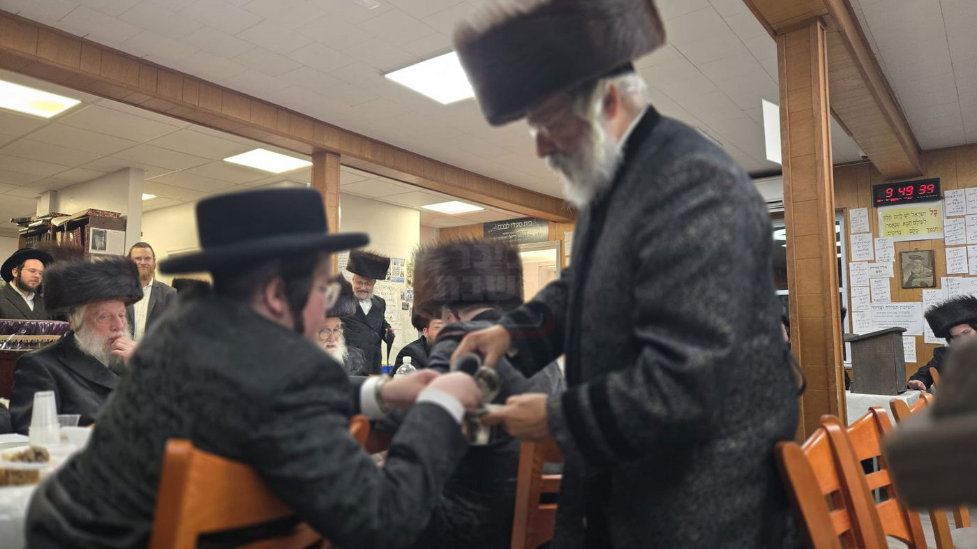 זופניק בכיכר | כל התמונות, הנייעס והחשיפות של השבוע שלא תרצו לפספס