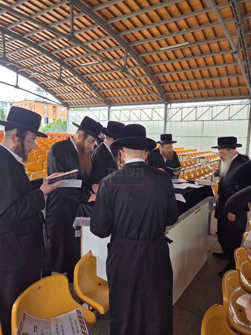 הילולת בעל ה'אור לשמים' מאפטא זי"ע