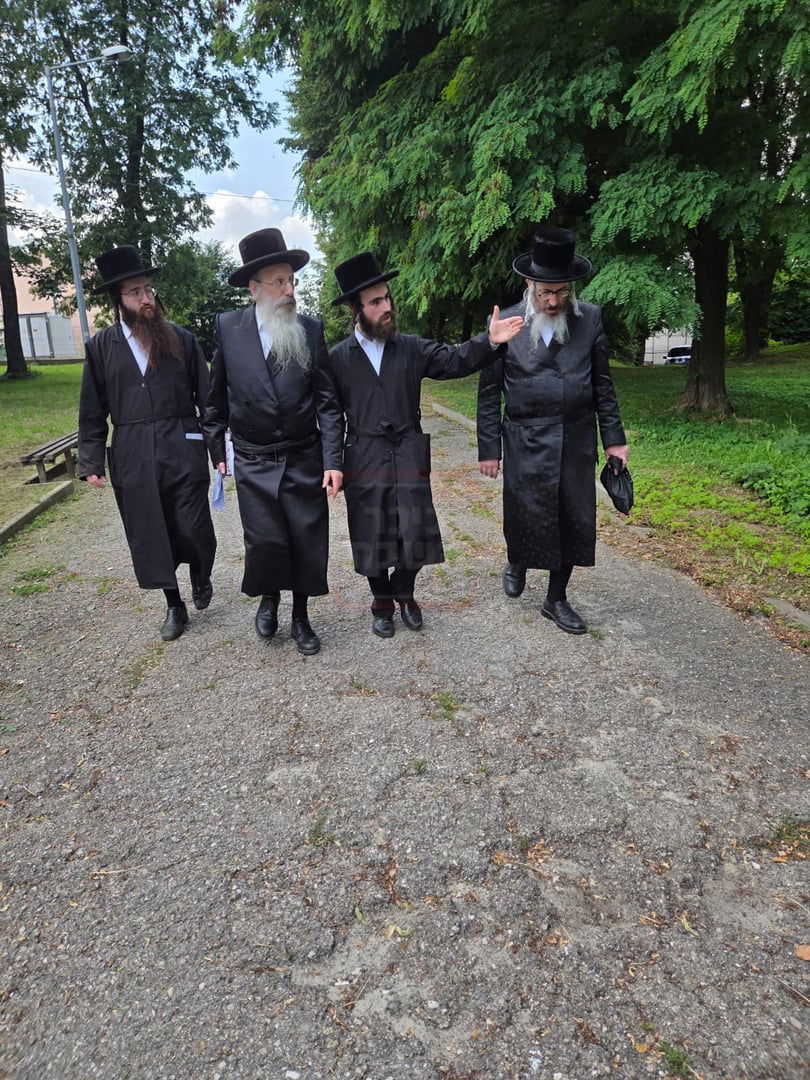 הילולת בעל ה'אור לשמים' מאפטא זי"ע