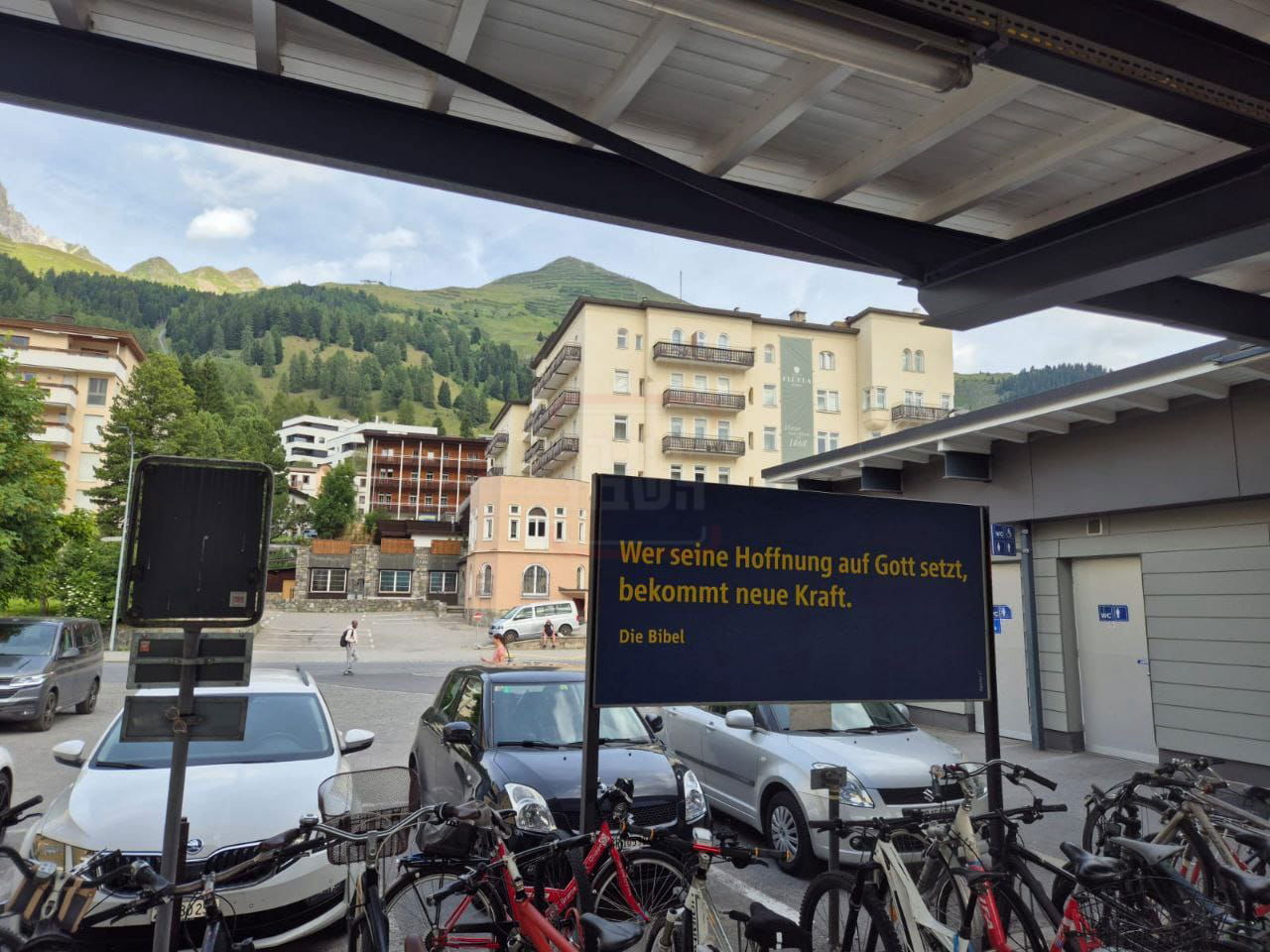 זופניק בכיכר | כל התמונות, הנייעס והחשיפות של השבוע שלא תרצו לפספס