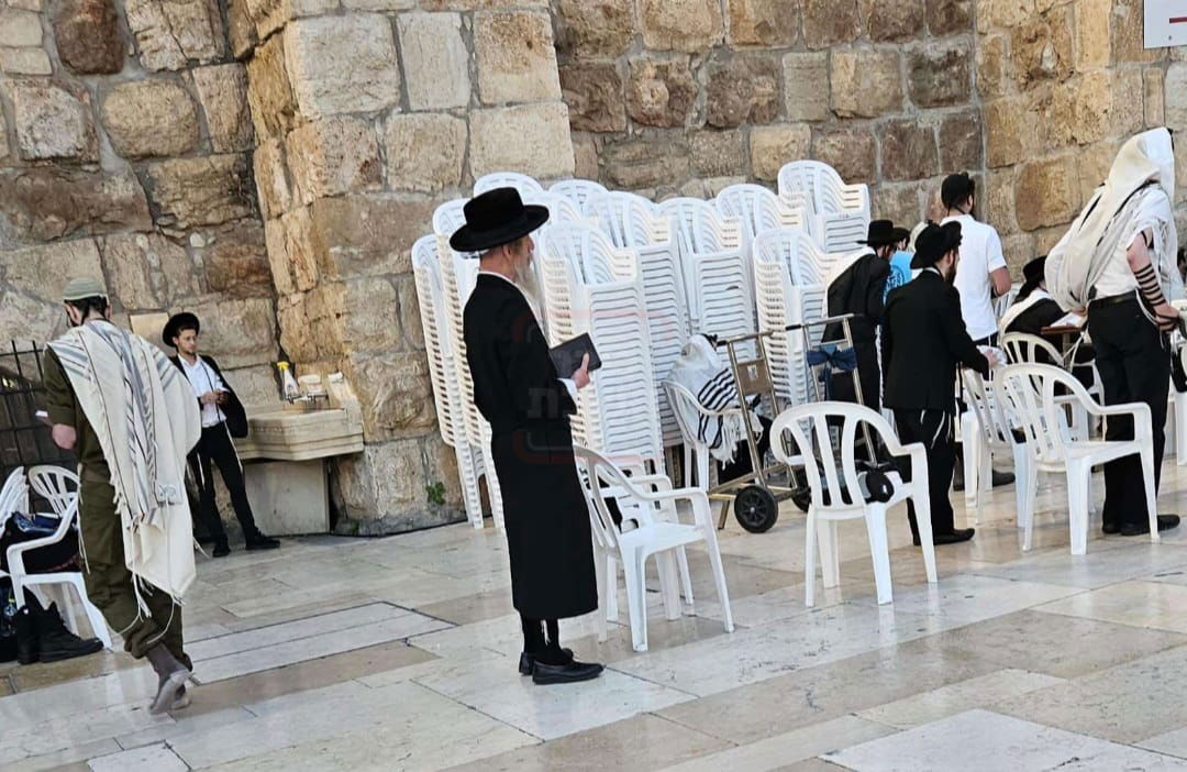 זופניק בכיכר | כל התמונות, הנייעס והחשיפות של השבוע שלא תרצו לפספס