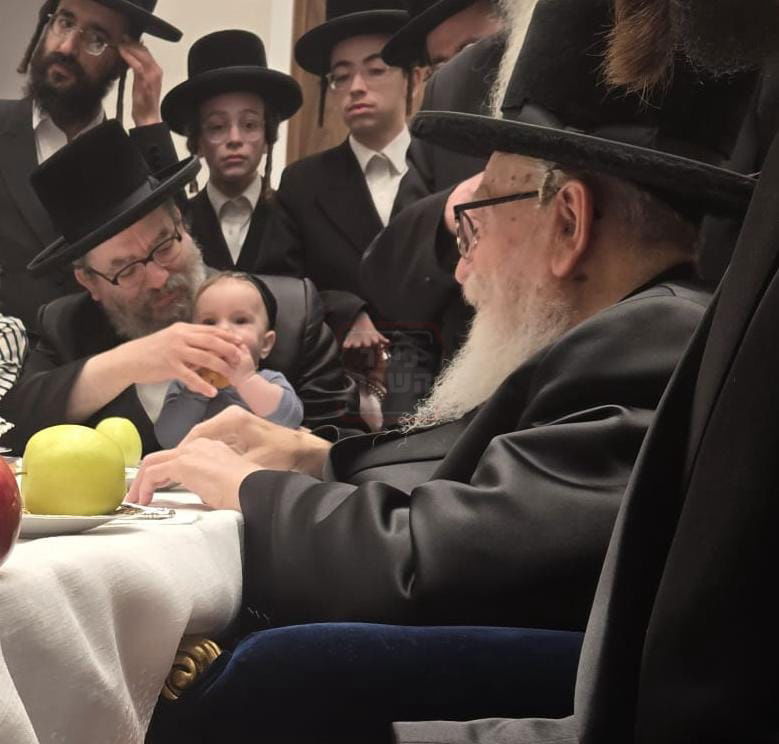 זופניק בכיכר | כל התמונות, הנייעס והחשיפות של השבוע שלא תרצו לפספס