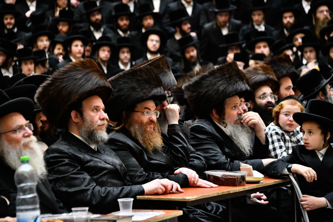 שמחת בית ויז'ניץ סקווירא 