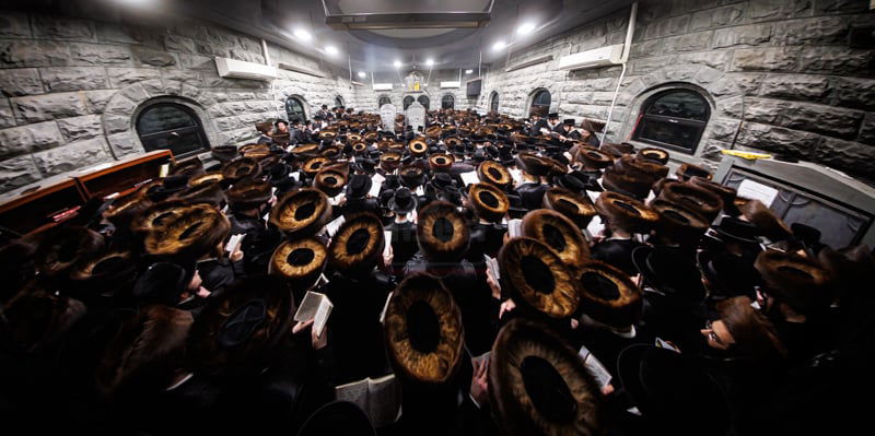 הילולא קדישא בבאבוב