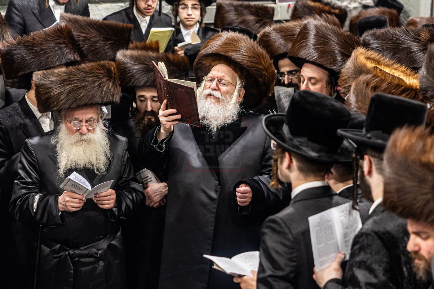 הילולא קדישא בבאבוב