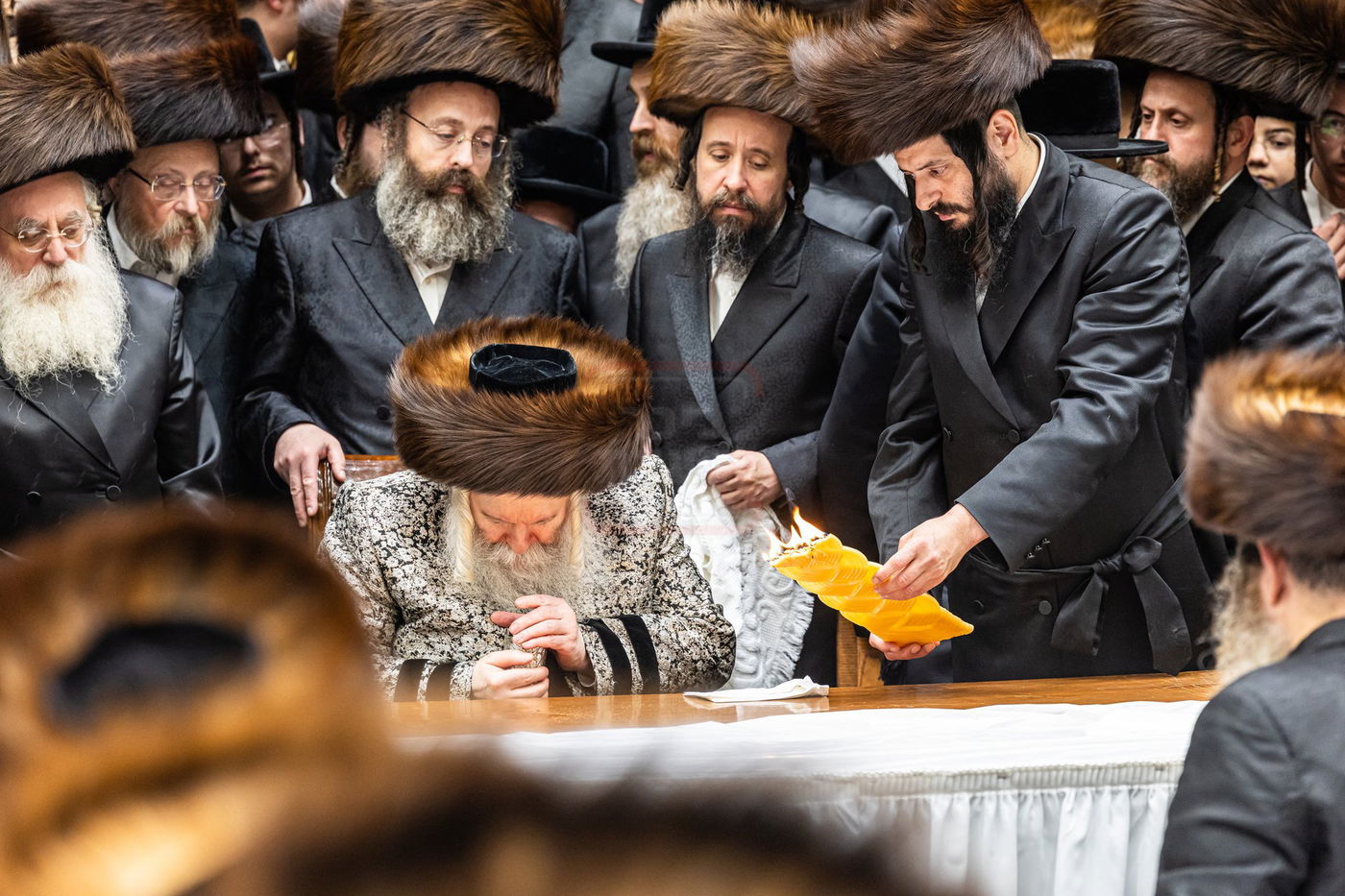 הילולא קדישא בבאבוב