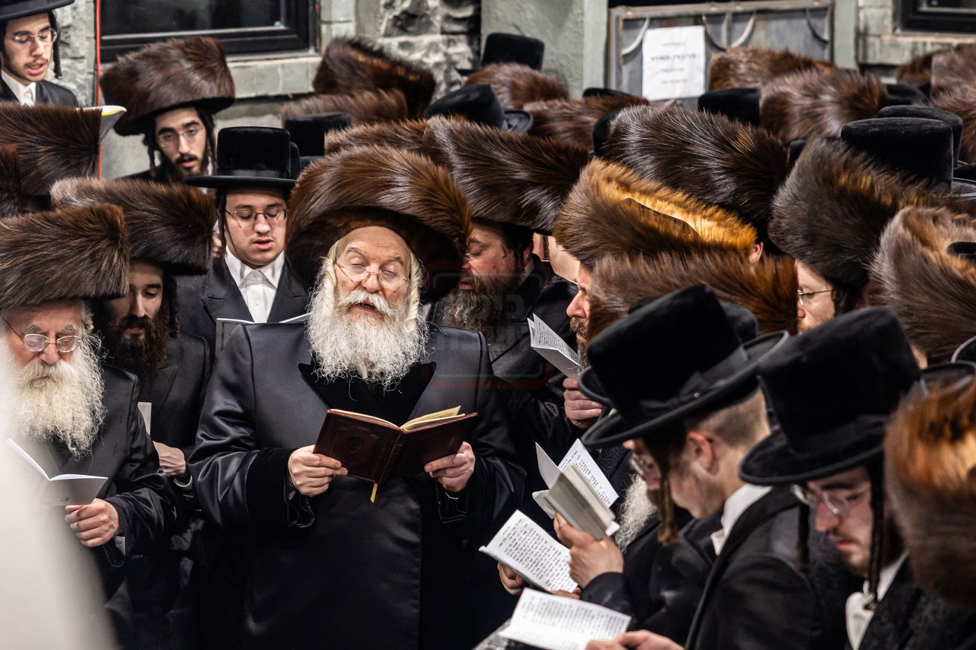 הילולא קדישא בבאבוב