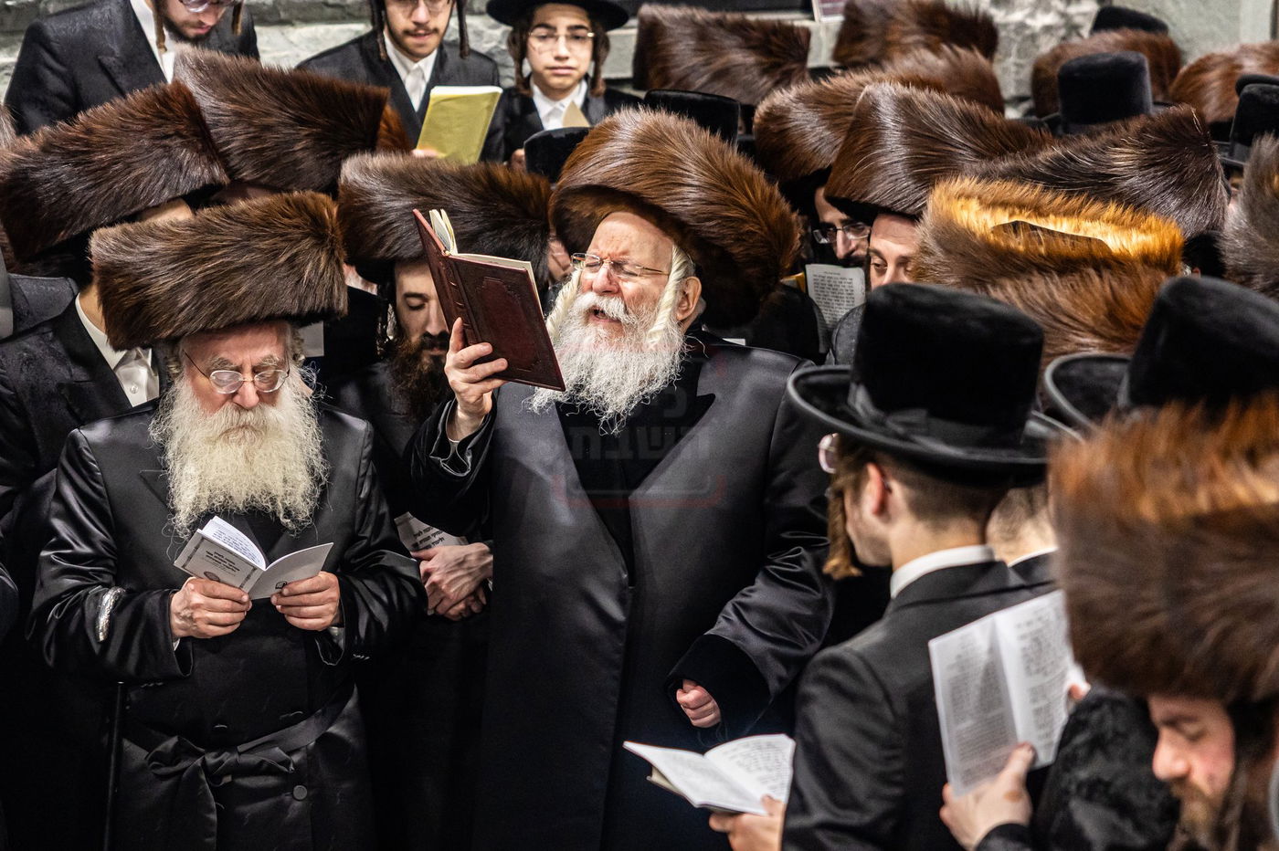 הילולא קדישא בבאבוב