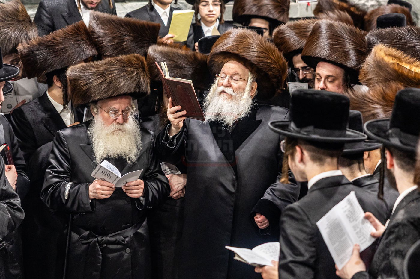 הילולא קדישא בבאבוב