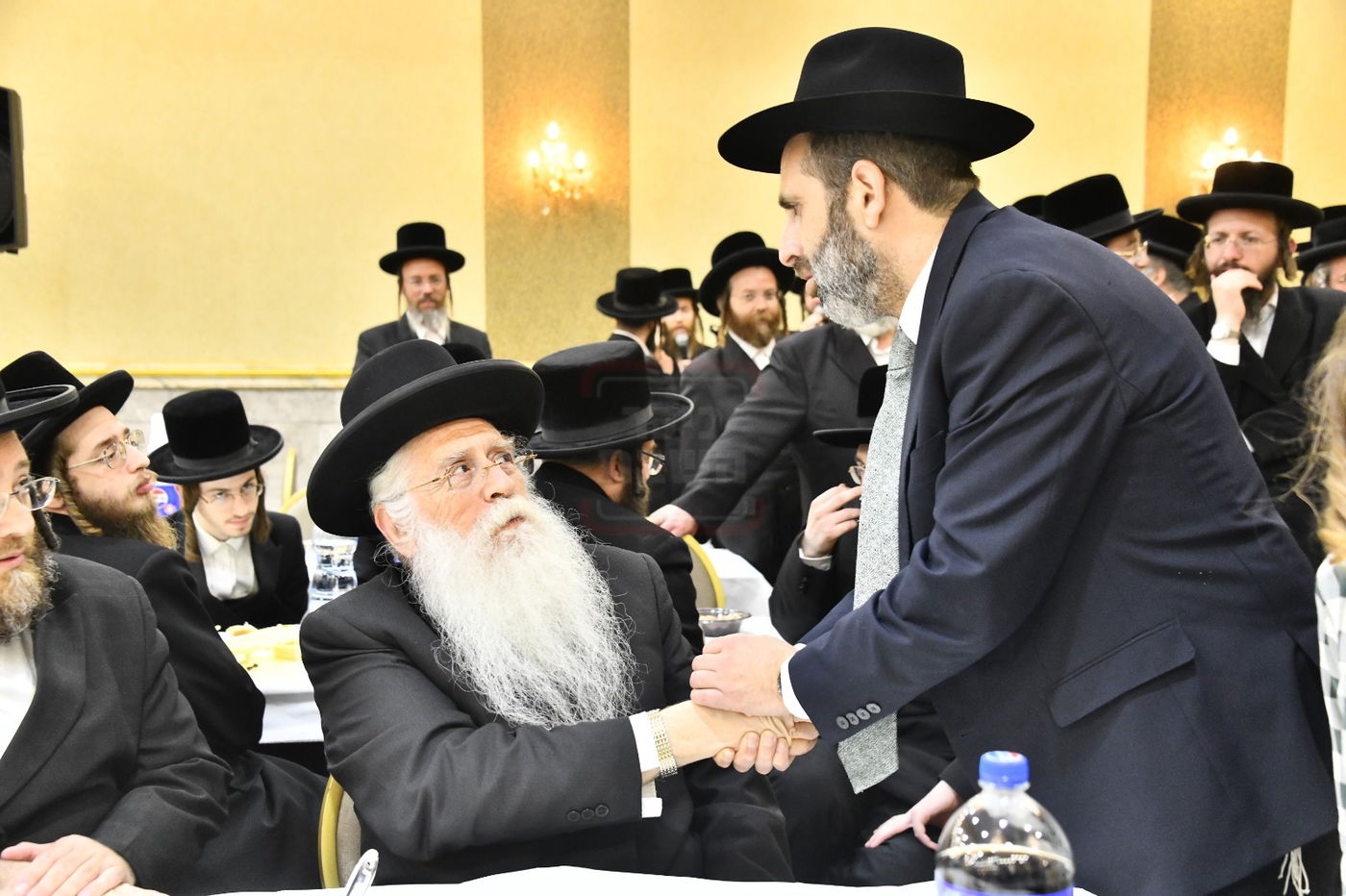 זופניק בכיכר | כל התמונות, הנייעס והחשיפות של השבוע שלא תרצו לפספס