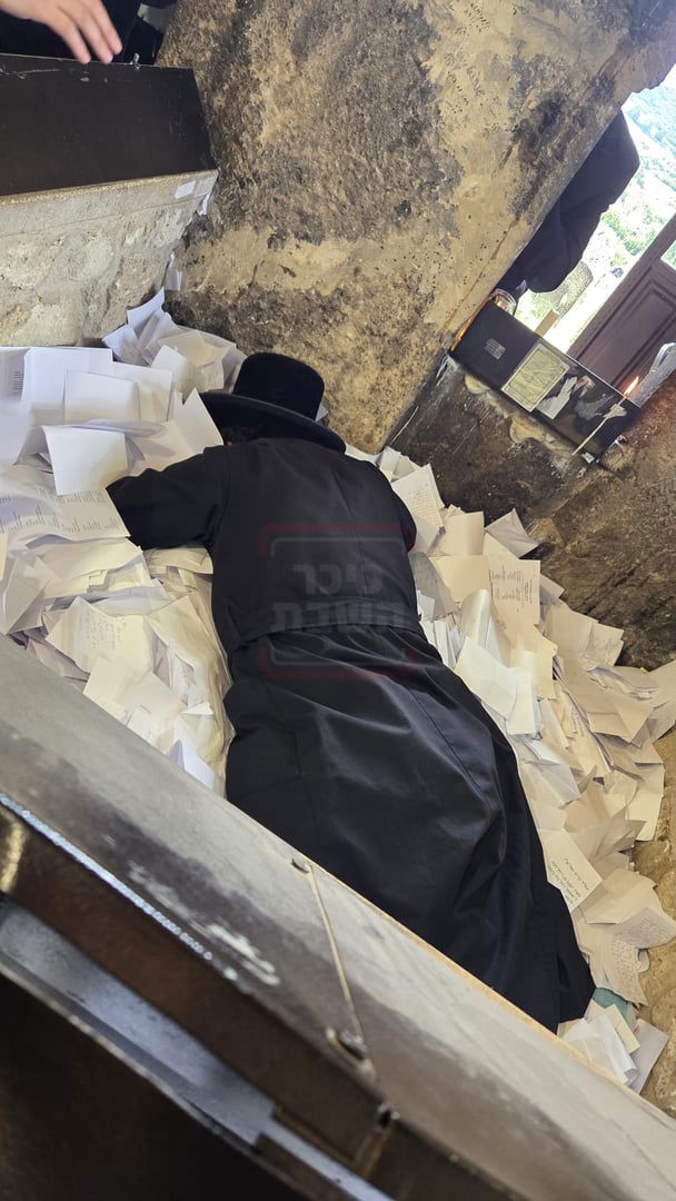 זופניק בכיכר | כל התמונות, הנייעס והחשיפות של השבוע שלא תרצו לפספס