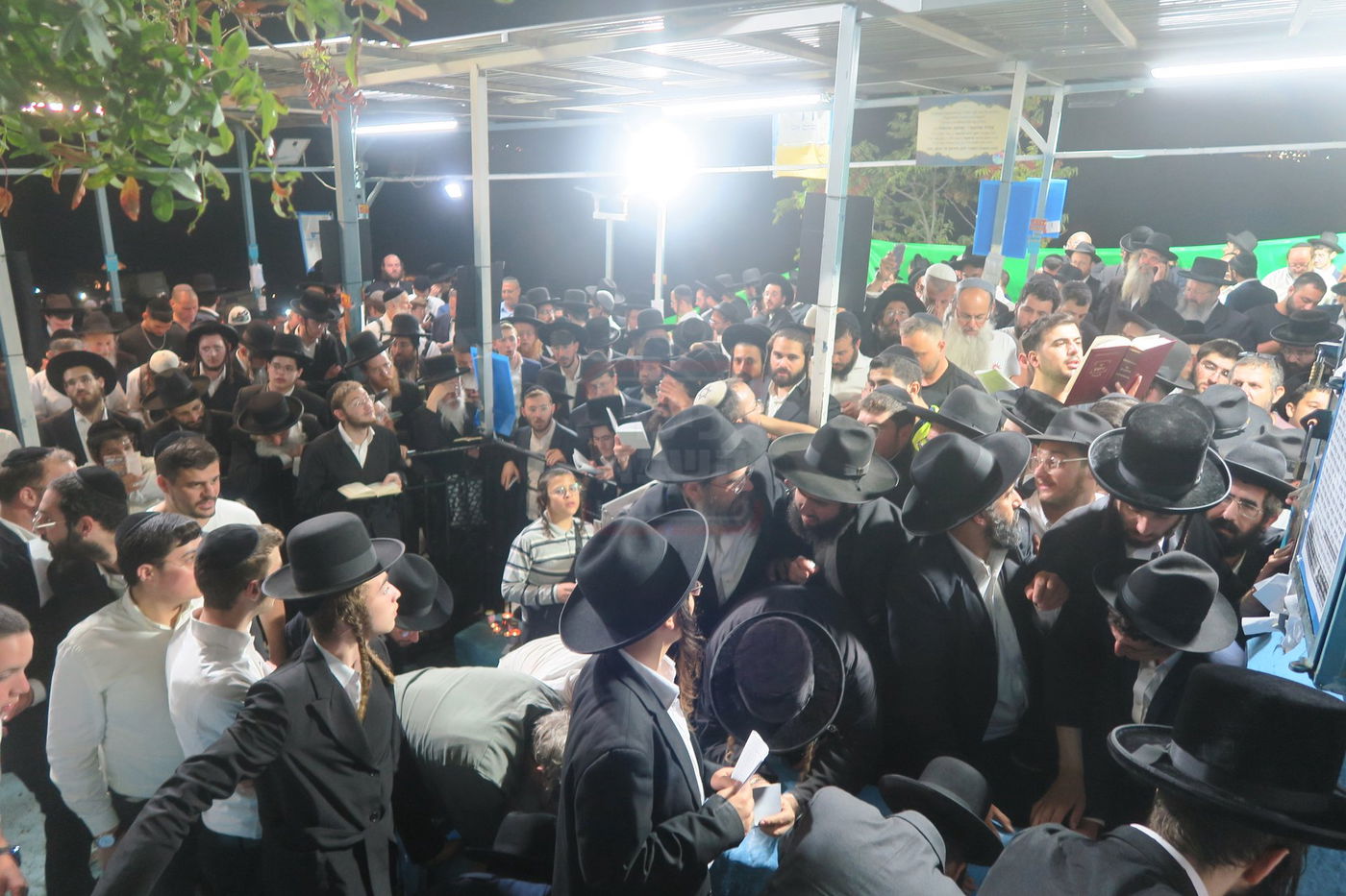 הילולת האר"י בצפת