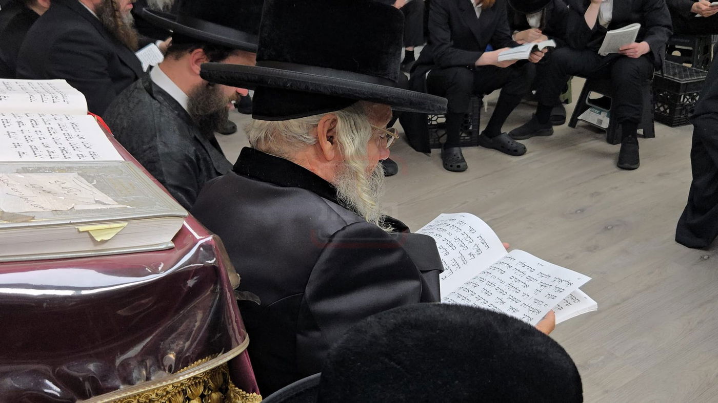 תשעה באב בחצה"ק ניקלשבורג בקאנטרי בוואודבוירן