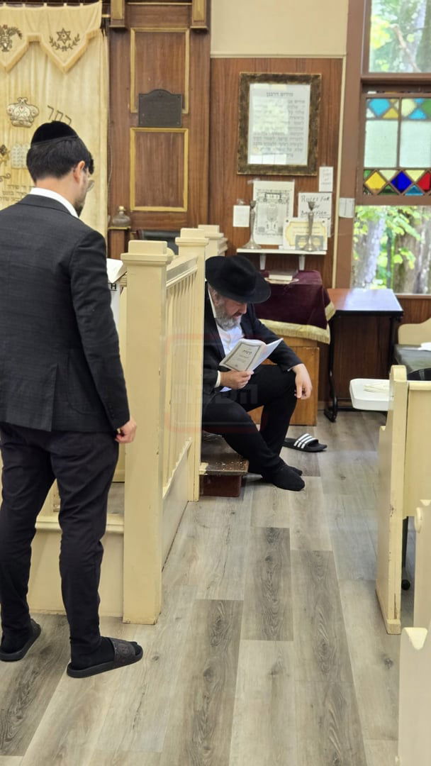 תשעה באב בחצה"ק ניקלשבורג בקאנטרי בוואודבוירן