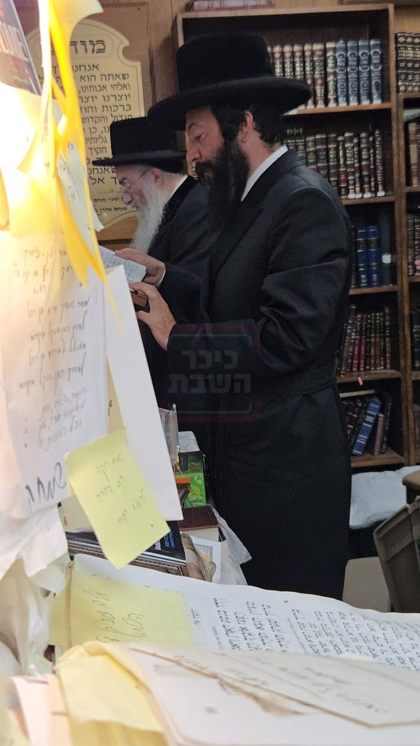 תשעה באב בחצה"ק ניקלשבורג בקאנטרי בוואודבוירן