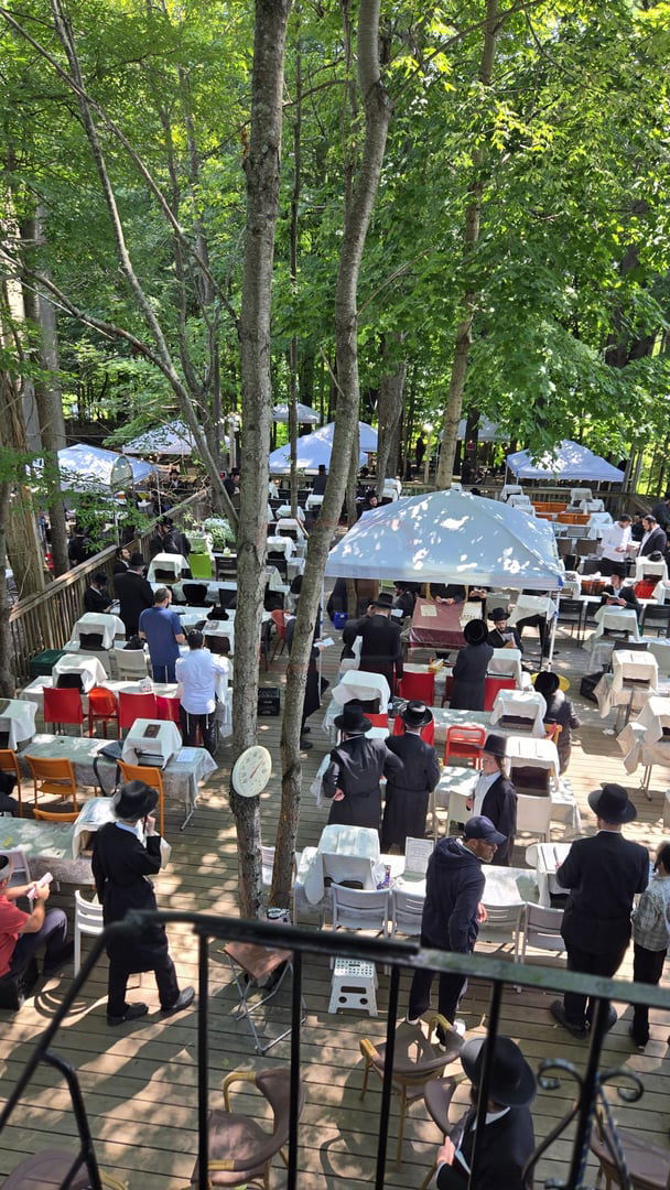 תשעה באב בחצה"ק ניקלשבורג בקאנטרי בוואודבוירן