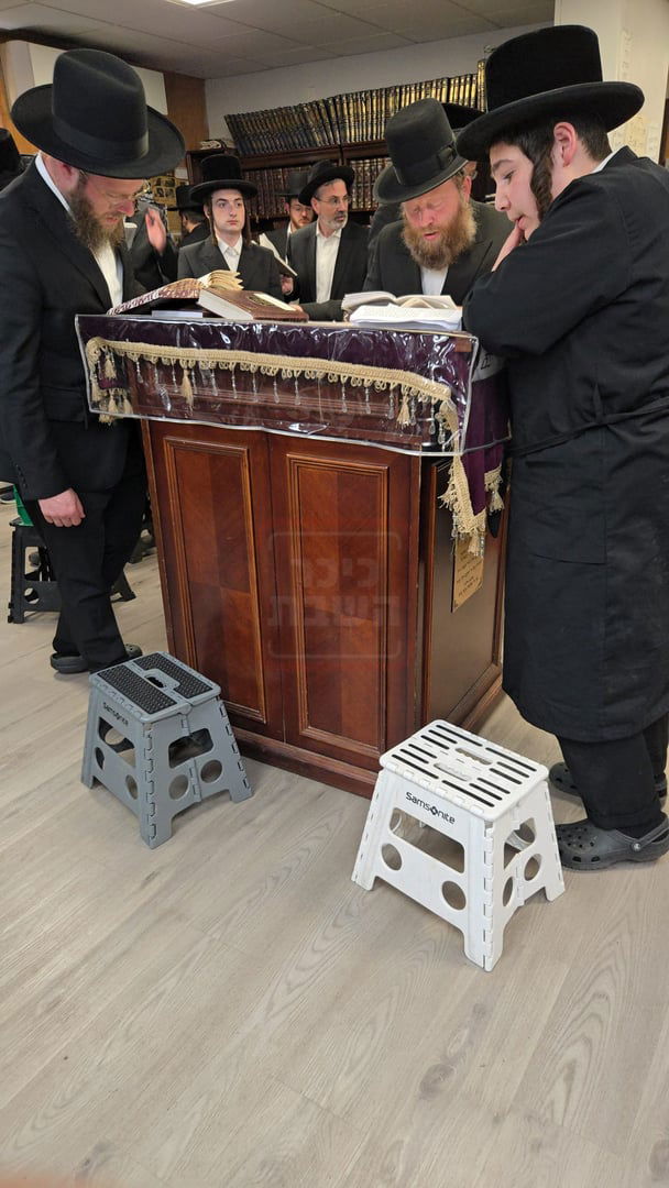 תשעה באב בחצה"ק ניקלשבורג בקאנטרי בוואודבוירן