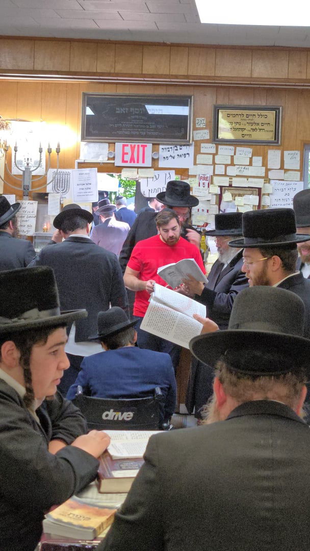 תשעה באב בחצה"ק ניקלשבורג בקאנטרי בוואודבוירן