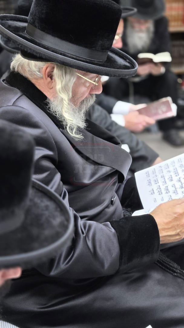 תשעה באב בחצה"ק ניקלשבורג בקאנטרי בוואודבוירן