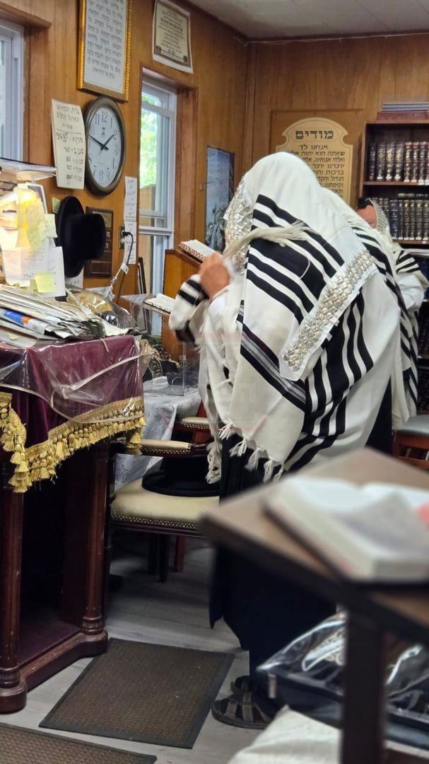 תשעה באב בחצה"ק ניקלשבורג בקאנטרי בוואודבוירן