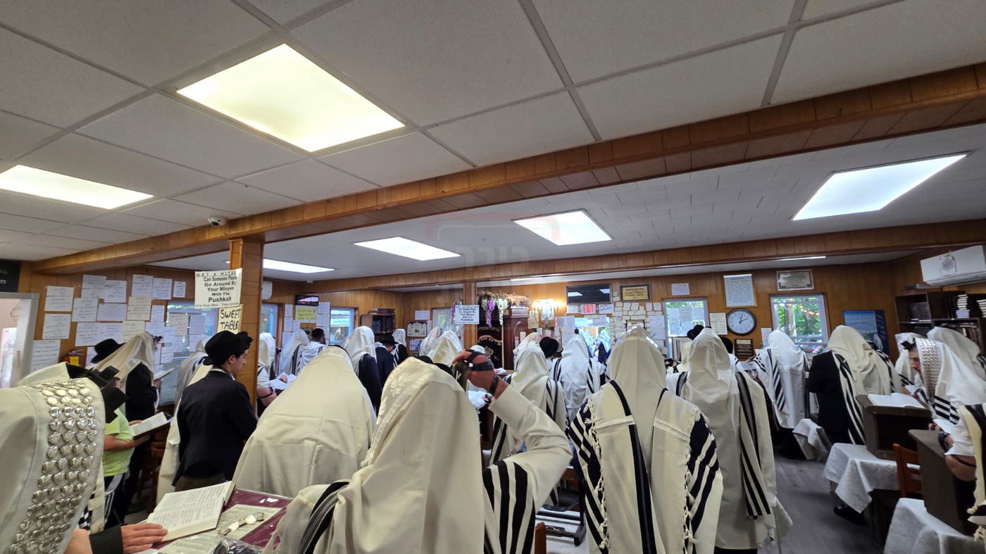 תשעה באב בחצה"ק ניקלשבורג בקאנטרי בוואודבוירן