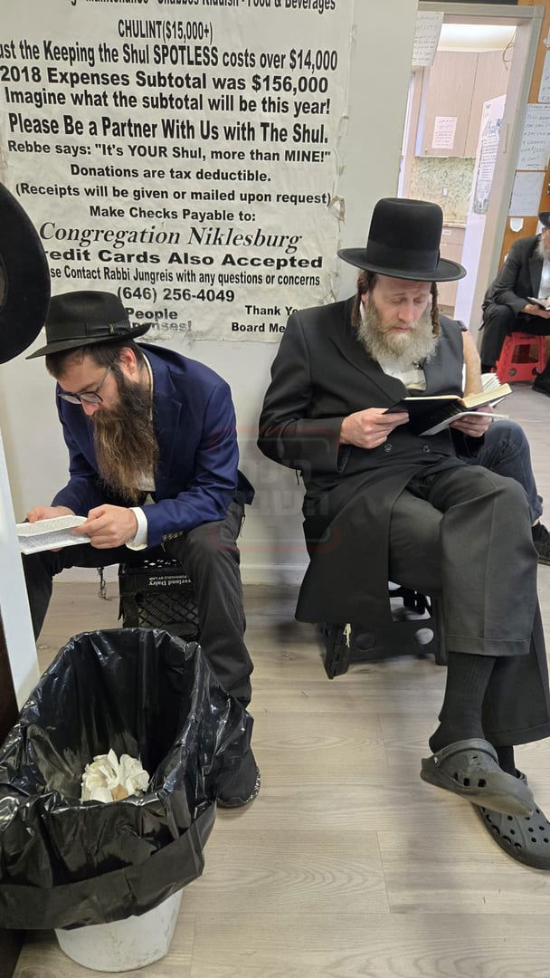 תשעה באב בחצה"ק ניקלשבורג בקאנטרי בוואודבוירן