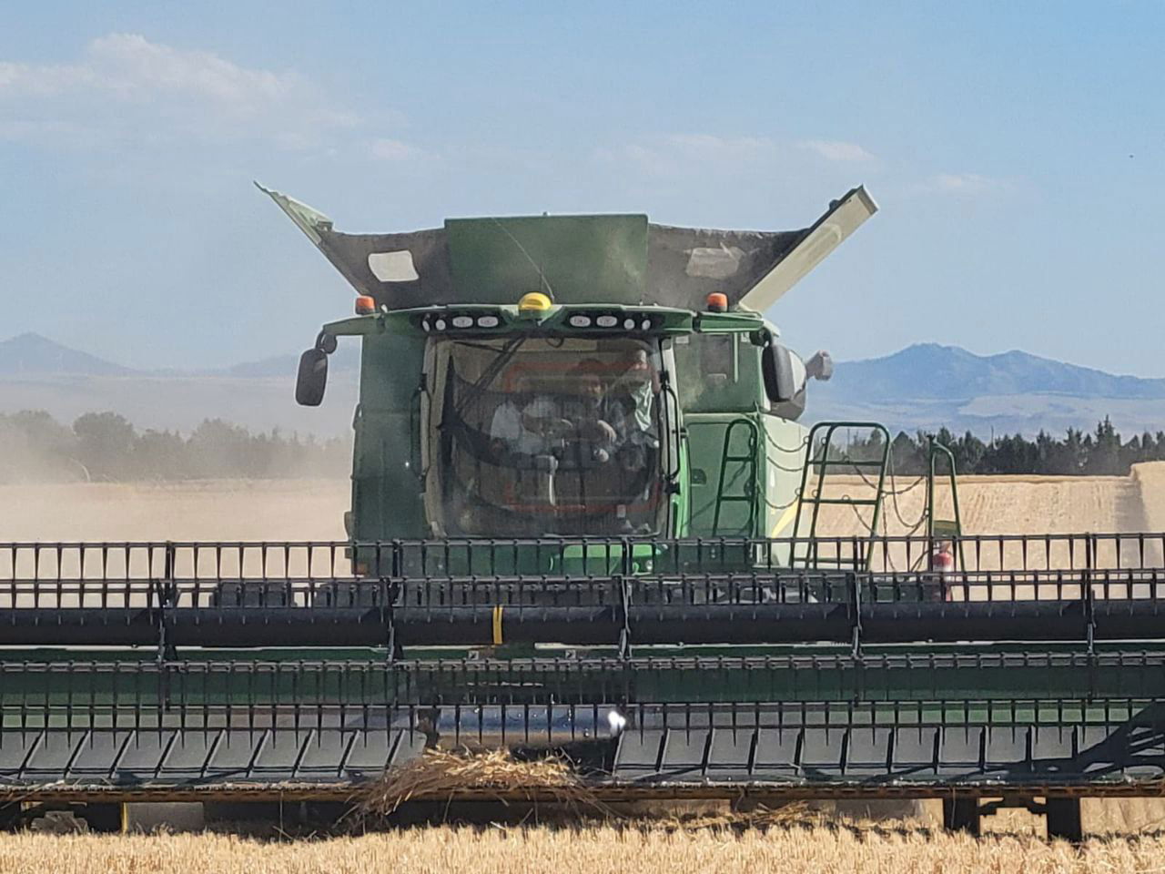 הגה"צ רבי מנחם מנדל טייטלבוים בקצירת חיטים